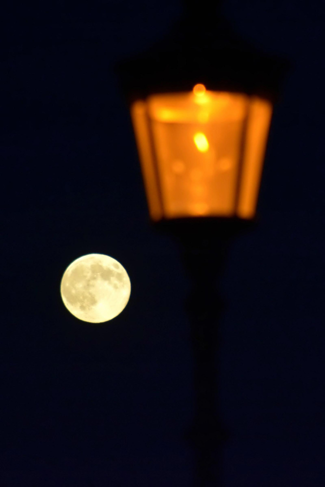 Eclissi, le foto del bacio tra il sole e la luna Eclissi, le foto del bacio tra il sole e la luna