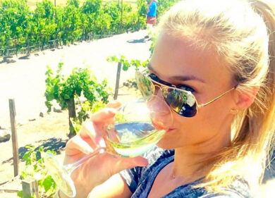 Dalla vigna al mercato. Le eccellenze del vino