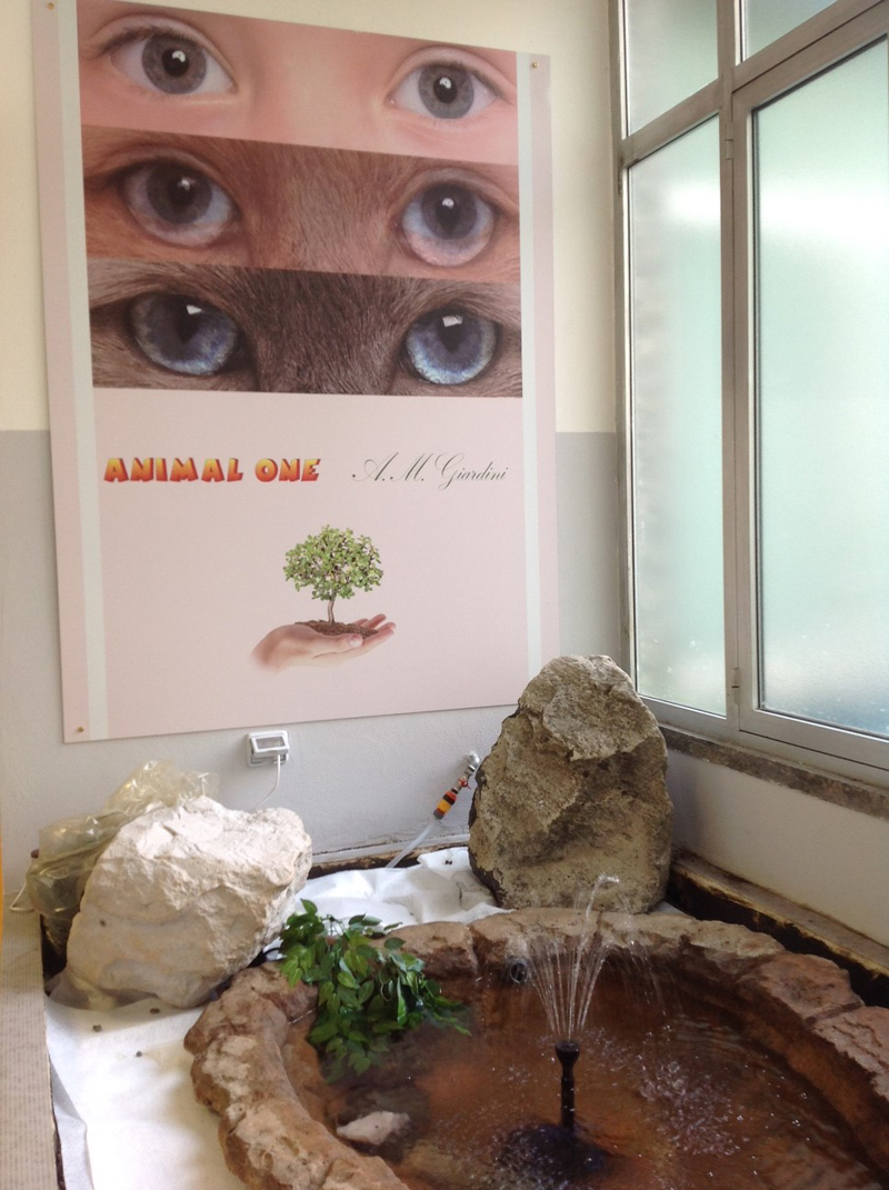 Affari in anteprima nella nuova Casa della Pediatria