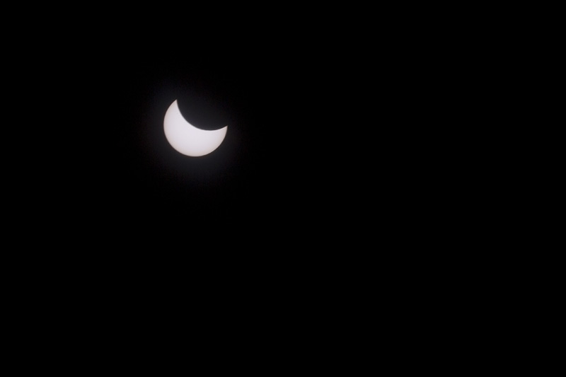 Eclissi, tutti con la testa in su. FOTO Eclissi, tutti con la testa in su. FOTO