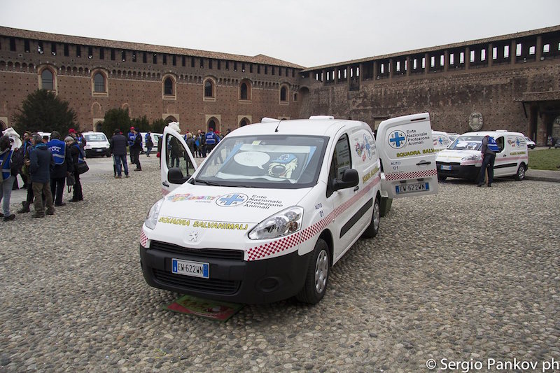 Il Leone corre in soccorso degli animali Il Leone corre in soccorso degli animali