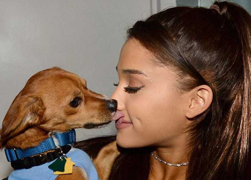 Ariana Grande adotta 15 cani. E uno la lecca in bocca. Foto