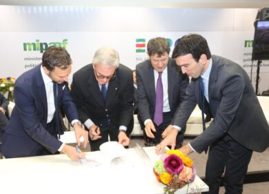 Vinitaly, ebay firma protocollo con Mipaaf e Federdoc