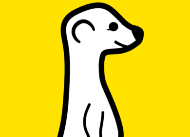 Twitter è morto, Meerkat sfida il live streaming in 140 caratteri