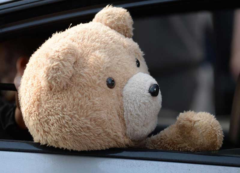 I peluche fanno male ai bambini. Allarme vermi I peluche fanno male ai bambini. Allarme vermi