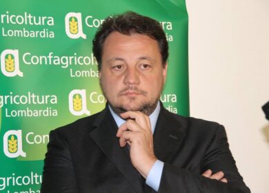 Xylella, l’assessore Fava rassicura: “Ulivi lombardi non in pericolo”