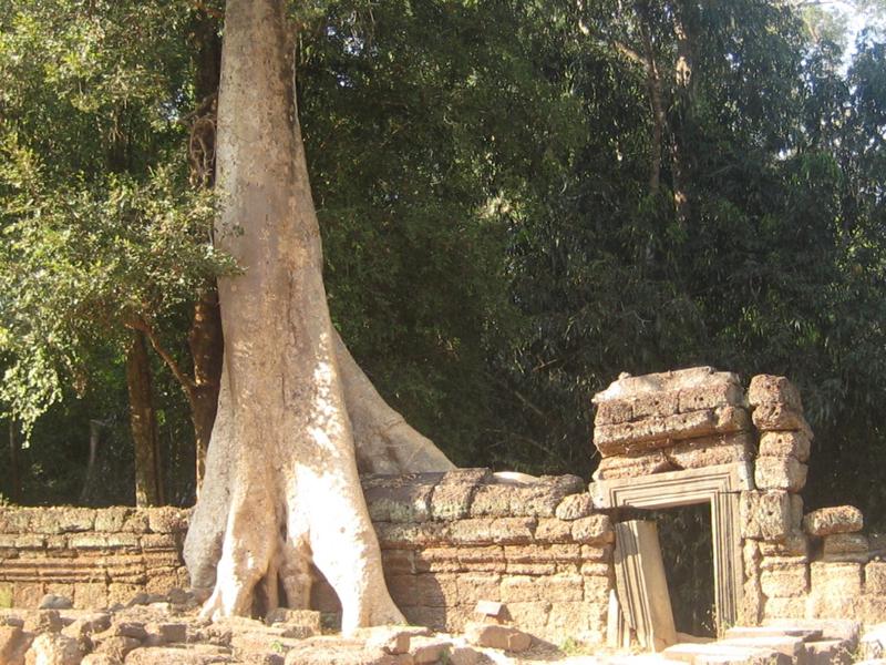 Cambogia: antiche e moderne rovine da nord a sud – gennaio 2015 Cambogia: antiche e moderne rovine da nord a sud – gennaio 2015
