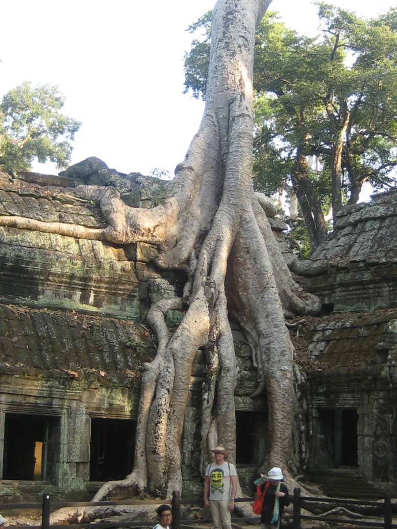 Cambogia: antiche e moderne rovine da nord a sud – gennaio 2015 Cambogia: antiche e moderne rovine da nord a sud – gennaio 2015