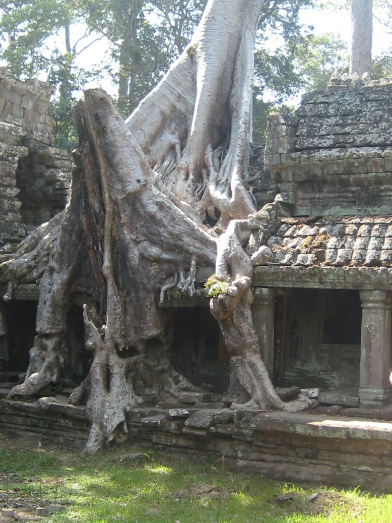 Cambogia: antiche e moderne rovine da nord a sud – gennaio 2015 Cambogia: antiche e moderne rovine da nord a sud – gennaio 2015