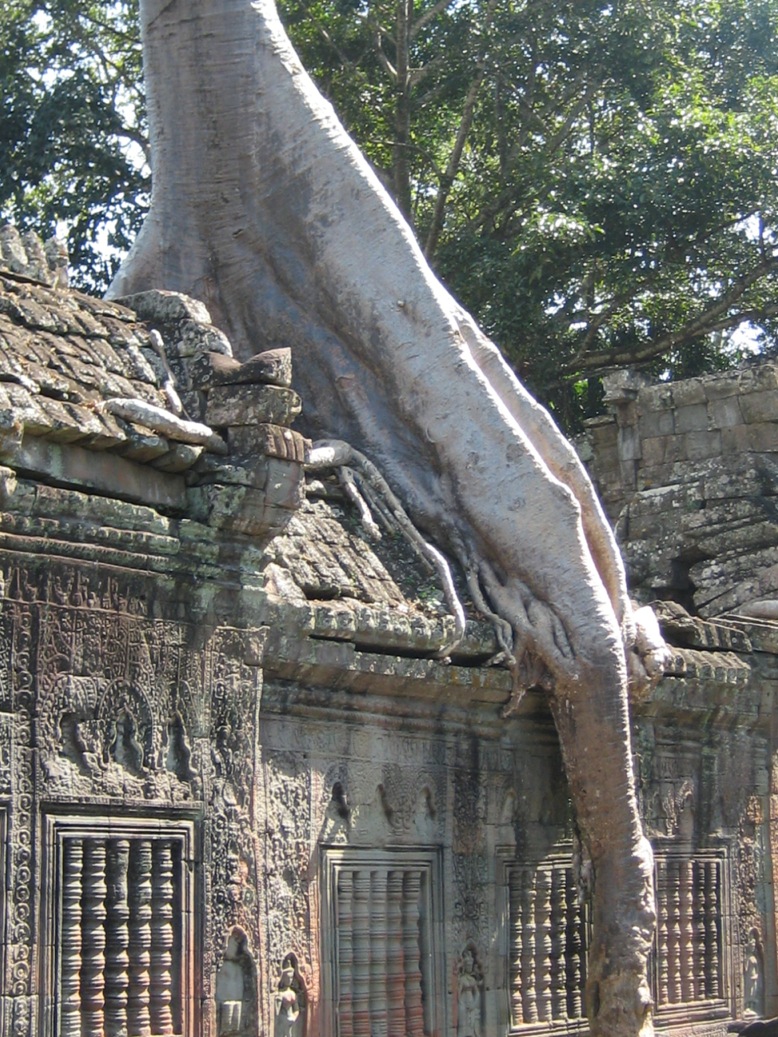 Cambogia: antiche e moderne rovine da nord a sud – gennaio 2015 Cambogia: antiche e moderne rovine da nord a sud – gennaio 2015