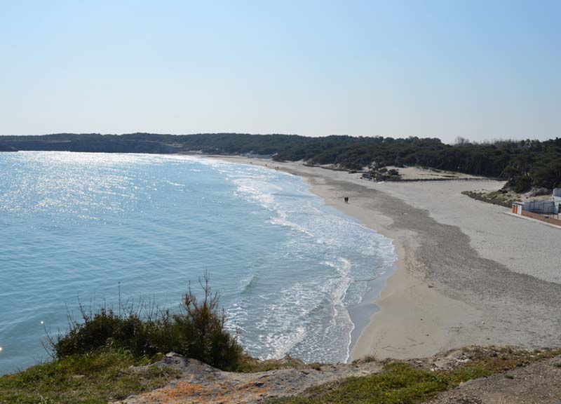 Puglia, primizie d’estate. Dalla Valle d’Itria al Salento Puglia, primizie d’estate. Dalla Valle d’Itria al Salento