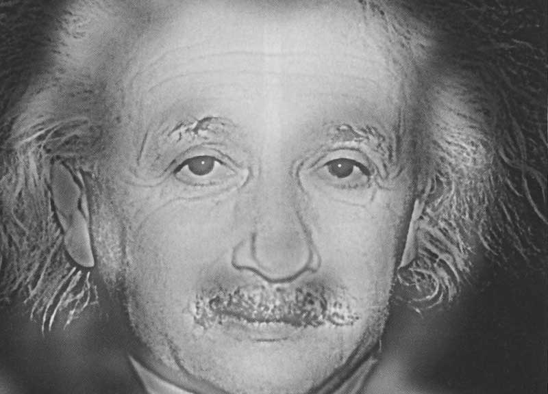 Galleria foto 'Vedete Albert Einstein o Marilyn Monroe?' - foto 1