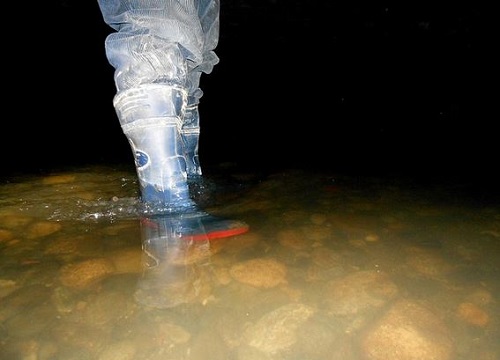 Seveso, Comune al lavoro perchè non sia più una minaccia Seveso, Comune al lavoro perchè non sia più una minaccia