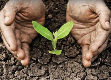 Bayer  coinvolge i giovani sul futuro, scienza per una vita migliore