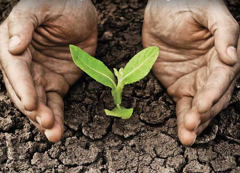 Bayer coinvolge i giovani sul futuro, scienza per una vita migliore Bayer coinvolge i giovani sul futuro, scienza per una vita migliore