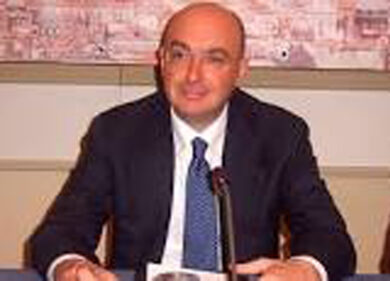 Agricoltura, tra clima e infestazioni produzione -40%: “Il piano per salvare l’olio italiano”