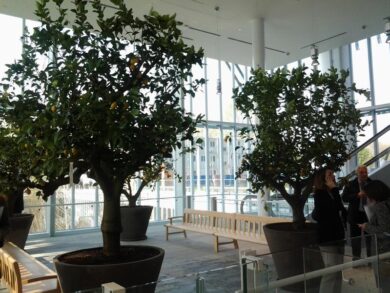 Al via il grattacielo green di Intesa a Torino. Messina: “Sede a servizio della città”