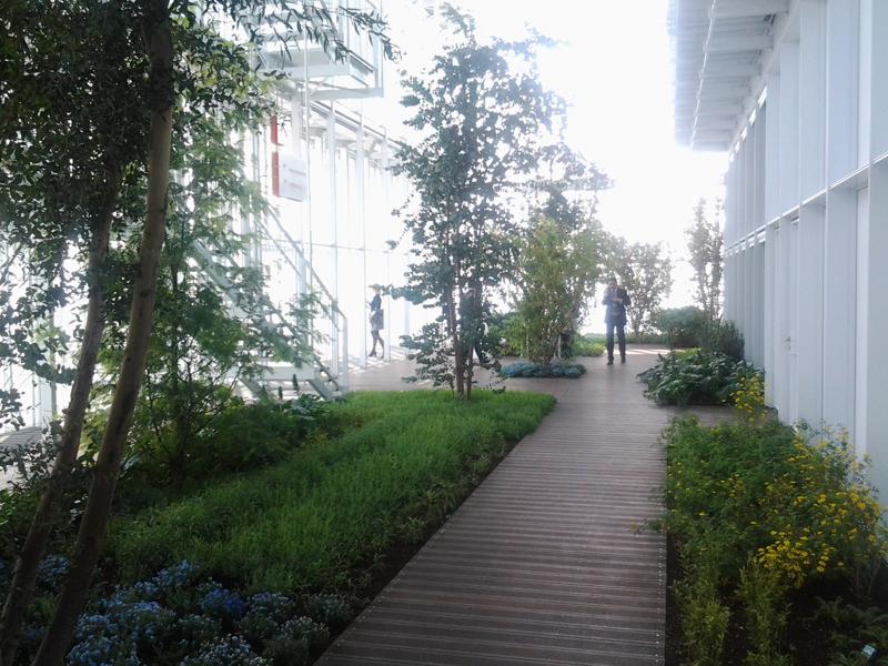 Al via il grattacielo green di Intesa a Torino. Messina: “Sede a servizio della città”