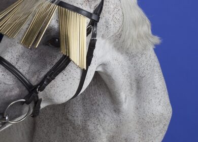 “MiArt, appuntamento imperdibile con l’arte in Fiera”