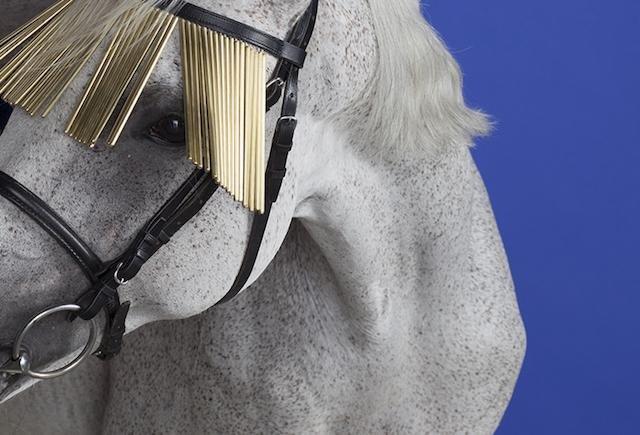 A Milano Miart compie 20 anni: largo agli stranieri A Milano Miart compie 20 anni: largo agli stranieri