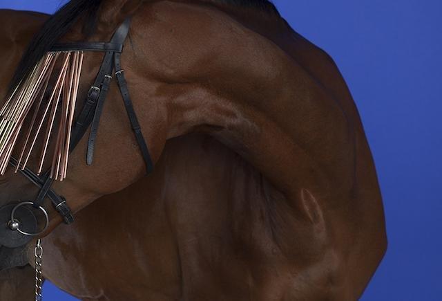 A Milano Miart compie 20 anni: largo agli stranieri A Milano Miart compie 20 anni: largo agli stranieri