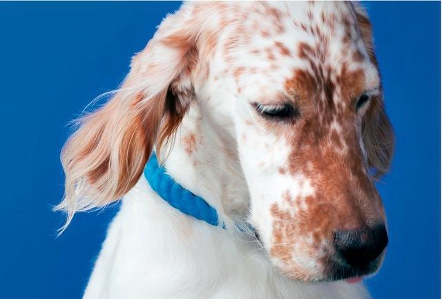 A Milano Miart compie 20 anni: largo agli stranieri A Milano Miart compie 20 anni: largo agli stranieri