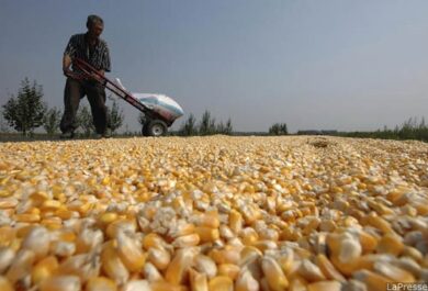 Biofuel, l’Ue sceglie il compromesso. Irrisolto il nodo delle emissioni