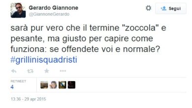 Il candidato Pd insulta la Taverna (M5s) su Twitter: “Sei una zoc…”