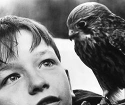 35mm, Cult e Magnifiche Visioni. Il Museo del Cinema offre il meglio