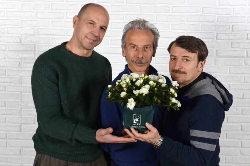 Festa della Mamma, torna l’Azalea della Ricerca di AIRC Festa della Mamma, torna l’Azalea della Ricerca di AIRC