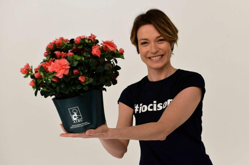 Festa della Mamma, torna l’Azalea della Ricerca di AIRC Festa della Mamma, torna l’Azalea della Ricerca di AIRC