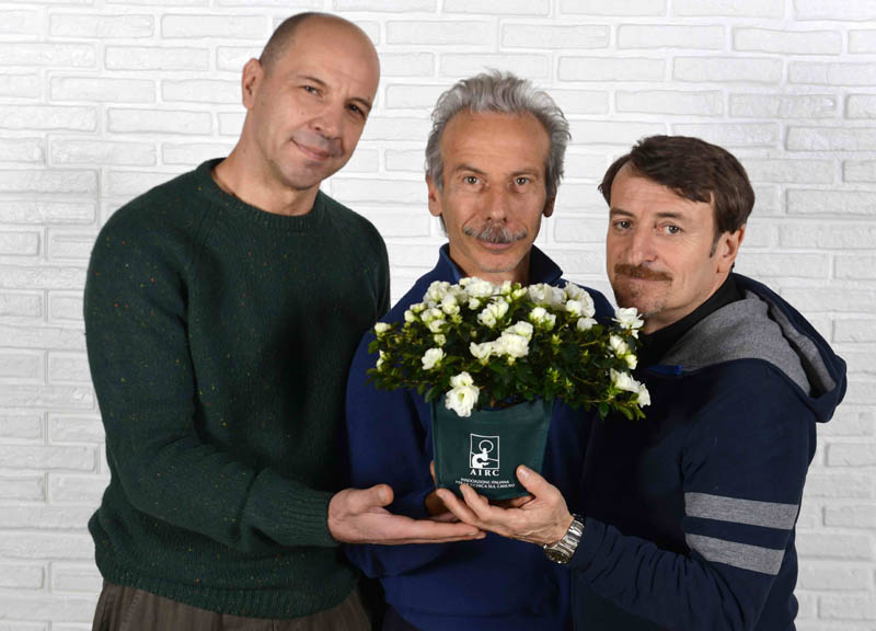 Festa della Mamma, torna l’Azalea della Ricerca di AIRC Festa della Mamma, torna l’Azalea della Ricerca di AIRC