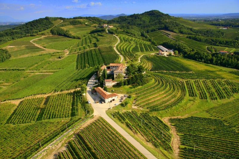 Generali/ Genagricola punta sui vini. Ecco la strategia di Marchionne Generali/ Genagricola punta sui vini. Ecco la strategia di Marchionne
