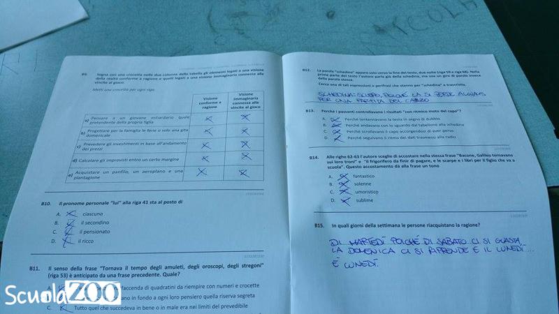 Invalsi, risposte sul web da giorni. Scuola, gaffe di Renzi: VIDEO Invalsi, risposte sul web da giorni. Scuola, gaffe di Renzi: VIDEO