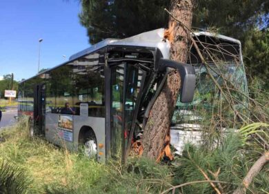 Autista sviene. Bus contro un albero: 9 feriti e tanta paura a Cinecittà