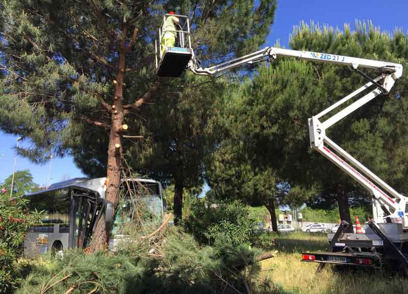 Autista sviene. Bus contro un albero: 9 feriti e tanta paura a Cinecittà Autista sviene. Bus contro un albero: 9 feriti e tanta paura a Cinecittà