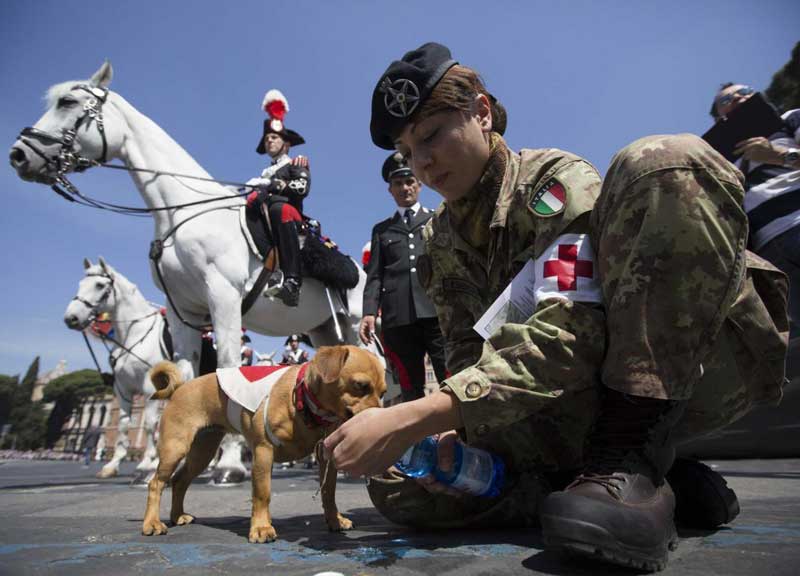 Il bluff della festa della Repubblica. Monarchici: “La data è il 13 giugno” Il bluff della festa della Repubblica. Monarchici: “La data è il 13 giugno”
