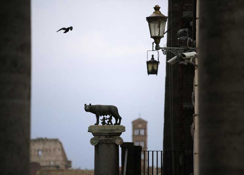 La sorte del sindaco Marino è nella cicoria. La pianta antimalocchio La sorte del sindaco Marino è nella cicoria. La pianta antimalocchio