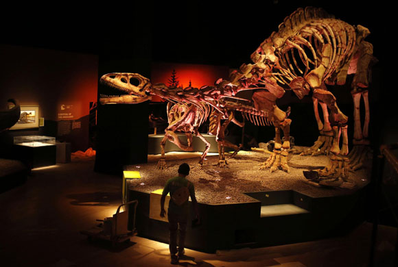 L’uomo come i dinosauri, ricerca Usa: “Iniziata l’estinzione di massa”