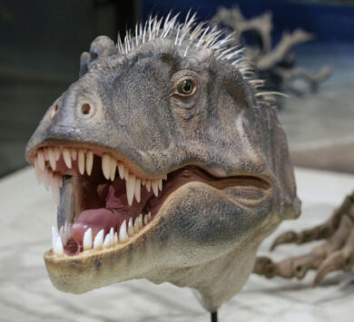 L’uomo come i dinosauri, ricerca Usa: “Iniziata l’estinzione di massa”