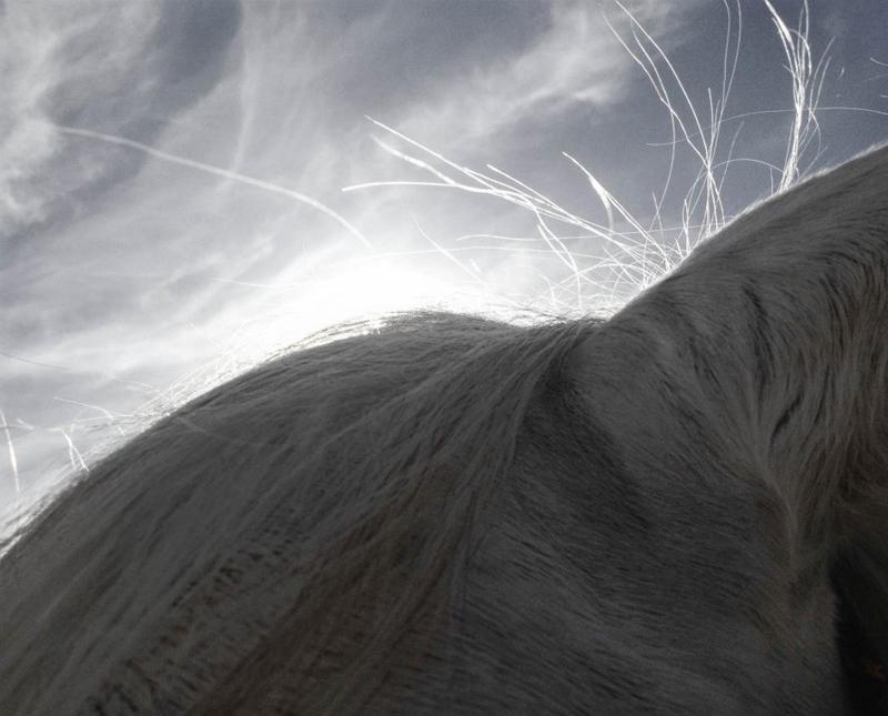 IPPAWARDS 2015, anche un’italiana al premio delle foto con l’iPhone IPPAWARDS 2015, anche un’italiana al premio delle foto con l’iPhone