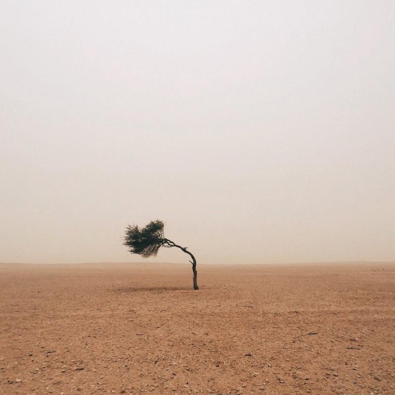 iPhone, ecco le foto più belle scattate nel 2015