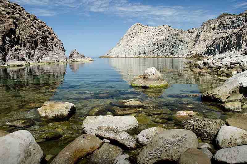 Posidonia Festival torna a Carloforte dal 26 al 28 giugno