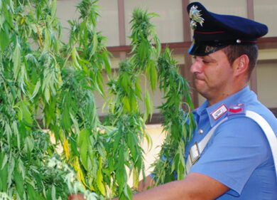 Casalinga stende marijuana sul filo del bucato: “Aiuto il business di mio figlio”