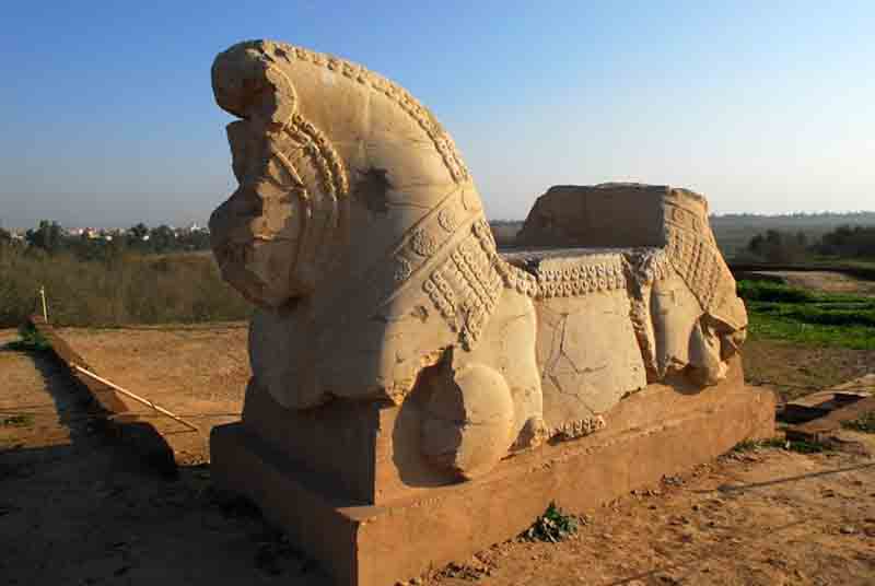 Unesco, 24 aree aggiunte alla lista del Patrimonio dell’Umanità Unesco, 24 aree aggiunte alla lista del Patrimonio dell’Umanità