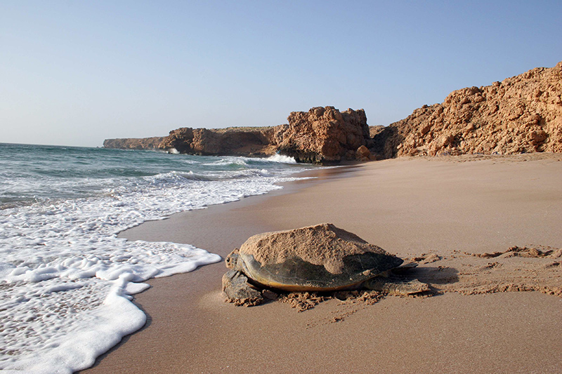 L’Oman si svela ad Expo, al via la Tourism Week. FOTO