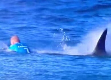 Squalo attacca la star del surf durante la gara. Video