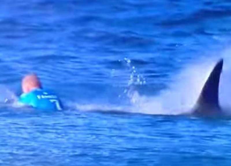 Squalo attacca la star del surf durante la gara. Video Squalo attacca la star del surf durante la gara. Video