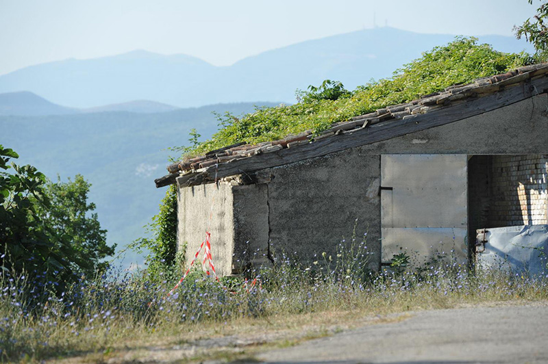 Pesaro, 17enne scomparso e trovato sgozzato. Fermati due 20enni