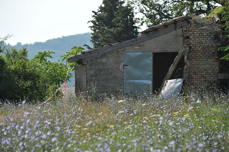 Pesaro, 17enne scomparso e trovato sgozzato. Fermati due 20enni